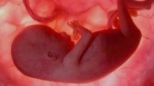 Aborterade fosters dödskamp får personal att reagera